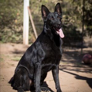 Meet your Posher, Deseree